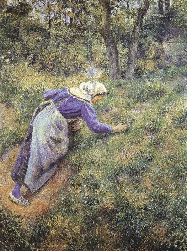Camille Pissarro Collect grass china oil painting image
